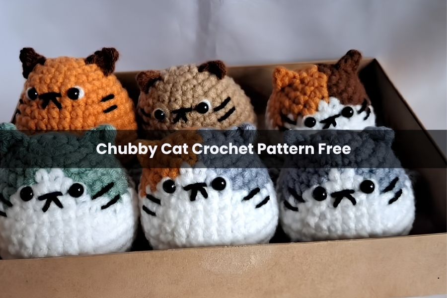 Chubby Cat Crochet Pattern Free