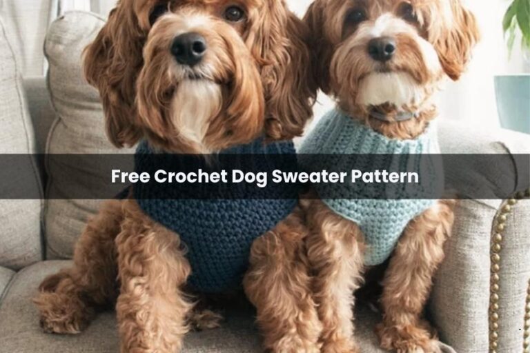 Free Crochet Dog Sweater Pattern