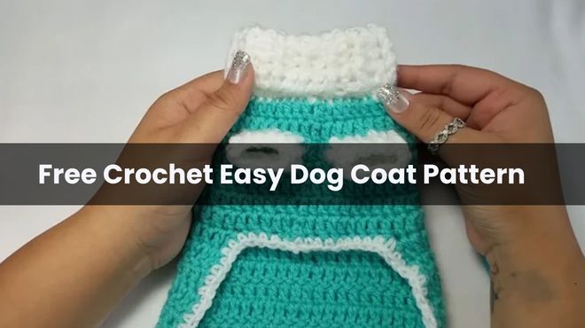 Free Crochet Easy Dog Coat Pattern
